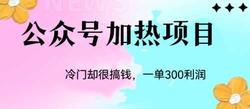 冷门公众号加热项目，一单利润300+-云网创资源站