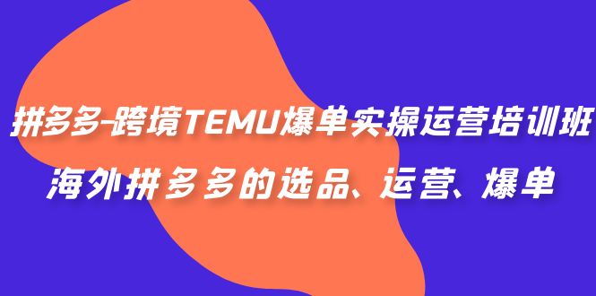 拼多多-跨境TEMU爆单实操运营培训班，海外拼多多的选品、运营、爆单-云网创资源站