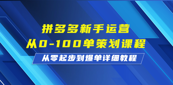 拼多多新手运营从0-100单策划课程，从零起步到爆单详细教程-云网创资源站