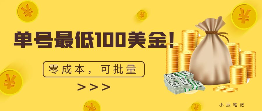 单号最低100美金，零成本，小白无脑操作。可复制，可扩大。-云网创资源站