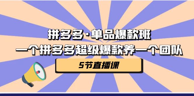 拼多多·单品爆款班，一个拼多多超级爆款养一个团队-云网创资源站