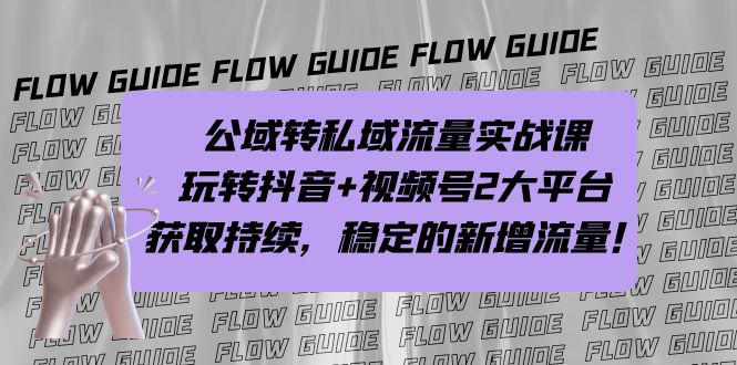 公域转私域流量实战课，玩转抖音+视频号2大平台，获取持续，稳定的新增流量-云网创资源站