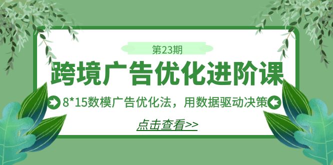 跨境广告·优化进阶课·第23期，8*15数模广告优化法，用数据驱动决策-云网创资源站