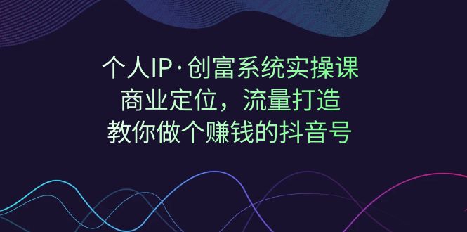 个人IP·创富系统实操课：商业定位，流量打造，教你做个赚钱的抖音号-云网创资源站