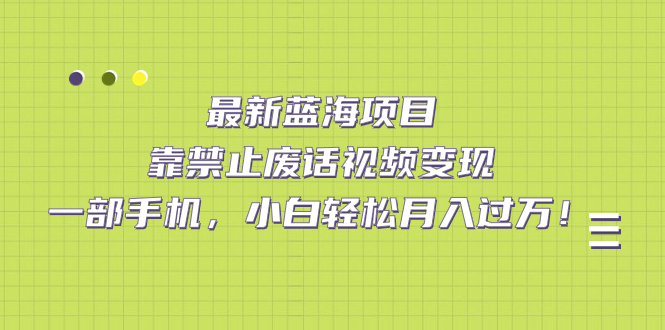 最新蓝海项目，靠禁止废话视频变现，一部手机，小白轻松月入过万！-云网创资源站