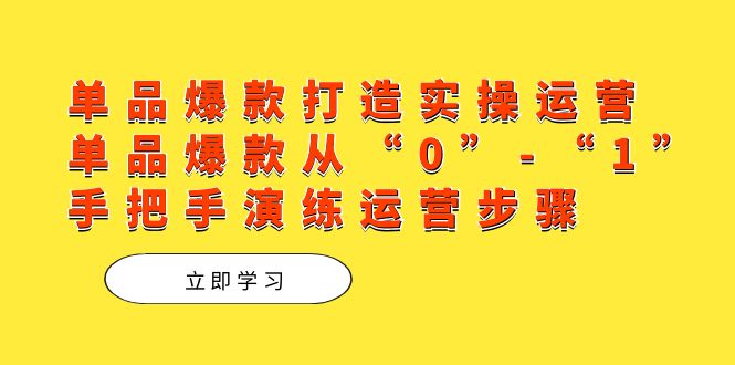 单品爆款打造实操运营，单品爆款从“0”-“1”手把手演练运营步骤-云网创资源站