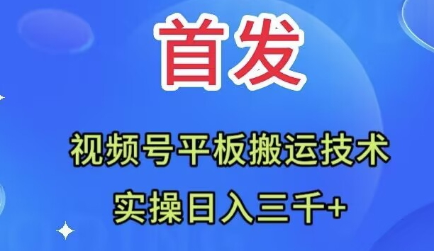 全网首发：视频号平板搬运技术，实操日入三千＋-云网创资源站