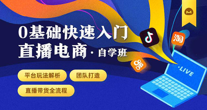 0基础快速入门直播电商课程：直播平台玩法解析-团队打造-带货全流程等环节-云网创资源站