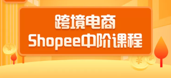 2020跨境电商蓝海新机会-shopee中阶课程：爆款的快速打造全流程-云网创资源站