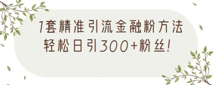 1套精准引流金融粉方法，轻松日引300+粉丝【视频课程】-云网创资源站