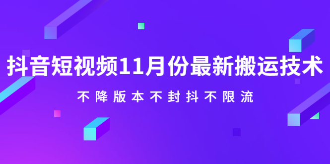 抖音短视频11月份最新搬运技术，不降版本不封抖不限流！【视频课程】-云网创资源站