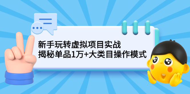 新手玩转虚拟项目实战，揭秘单品1万+大类目操作模式【视频课程】-云网创资源站