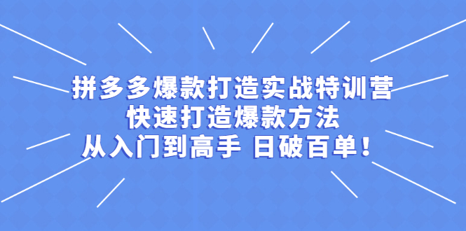 拼多多爆款打造实战特训营：快速打造爆款方法，从入门到高手 日破百单-云网创资源站