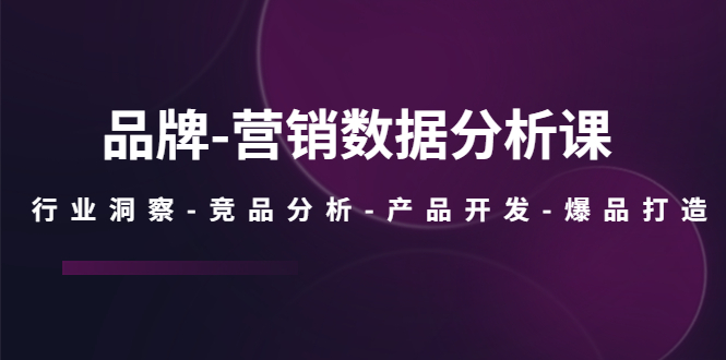 品牌-营销数据分析课，行业洞察-竞品分析-产品开发-爆品打造-云网创资源站