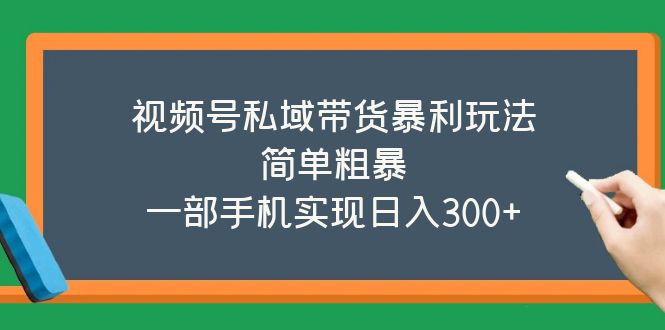 视频号私域带货暴利玩法，简单粗暴，一部手机实现日入300+-云网创资源站