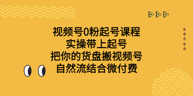 视频号0粉起号课程 实操带上起号 把你的货盘搬视频号 自然流结合微付费-云网创资源站