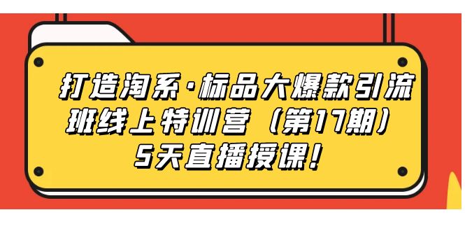 打造淘系·标品大爆款引流班线上特训营5天直播授课！-云网创资源站