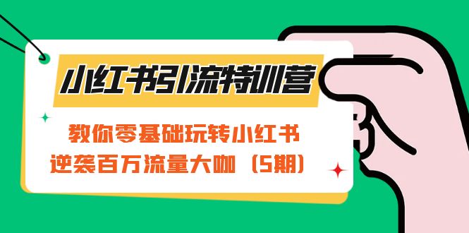 小红书引流特训营-第5期：教你零基础玩转小红书，逆袭百万流量大咖-云网创资源站