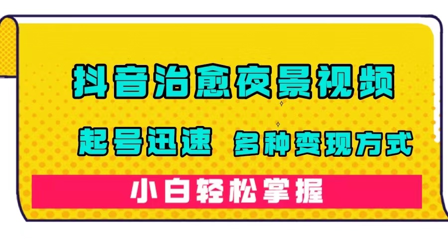 抖音治愈系夜景视频，起号迅速，多种变现方式，小白轻松掌握-云网创资源站