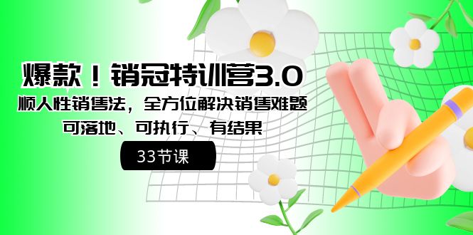 爆款！销冠特训营3.0之顺人性销售法，全方位解决销售难题、可落地、可执…-云网创资源站