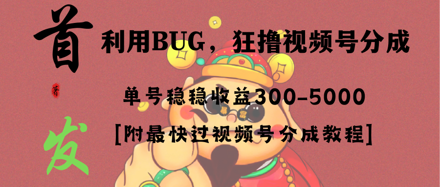 全网独家首发，视频号BUG，超短期项目，单号每日净收益300-5000！-云网创资源站