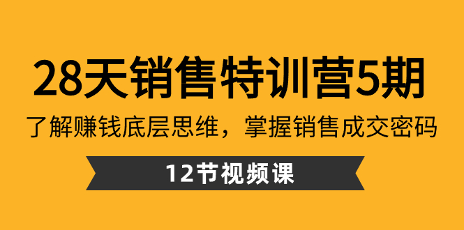 28天·销售特训营5期：了解赚钱底层思维，掌握销售成交密码-云网创资源站