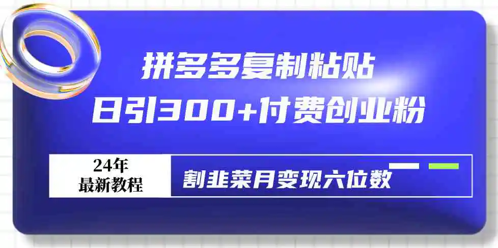 拼多多复制粘贴日引300+付费创业粉，割韭菜月变现六位数最新教程！-云网创资源站