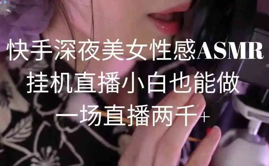 快手深夜美女性感ASMR挂机直播，小白也能做，一场直播两千+-云网创资源站