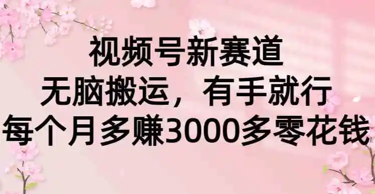 视频号新赛道，无脑搬运，有手就行，每个月多赚3000多零花钱-云网创资源站