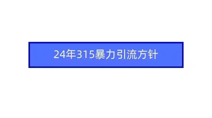 2024年315暴力引流方针-云网创资源站