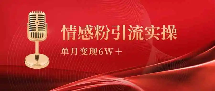 单月变现6w+，情感粉引流变现实操课-云网创资源站