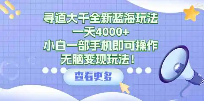 寻道大千全新蓝海玩法，一天4000+，小白一部手机即可操作，无脑变现玩法！-云网创资源站