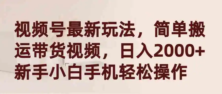 视频号最新玩法，简单搬运带货视频，日入2000+，新手小白手机轻松操作-云网创资源站