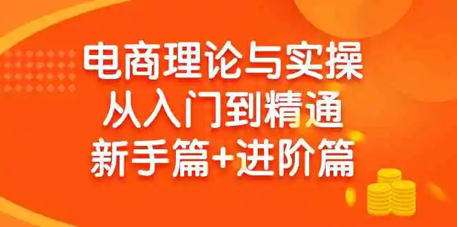 电商理论与实操从入门到精通 新手篇+进阶篇-云网创资源站