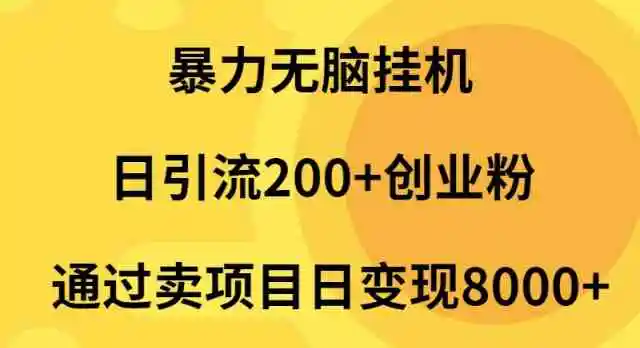 暴力无脑挂机日引流200+创业粉通过卖项目日变现2000+-云网创资源站