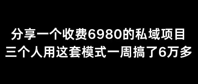 分享一个外面卖6980的私域项目三个人用这套模式一周搞了6万多【揭秘】-云网创资源站