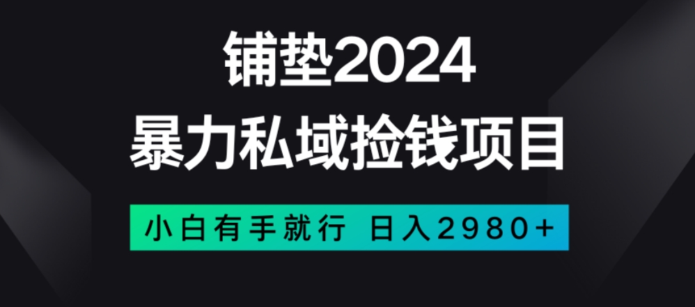 暴力私域捡钱项目，小白无脑操作，日入2980【揭秘】-云网创资源站