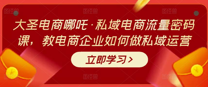 大圣电商哪吒·私域电商流量密码课，教电商企业如何做私域运营-云网创资源站