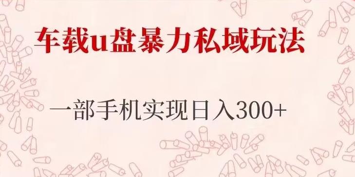 车载u盘暴力私域玩法，长期项目，仅需一部手机实现日入300+-云网创资源站