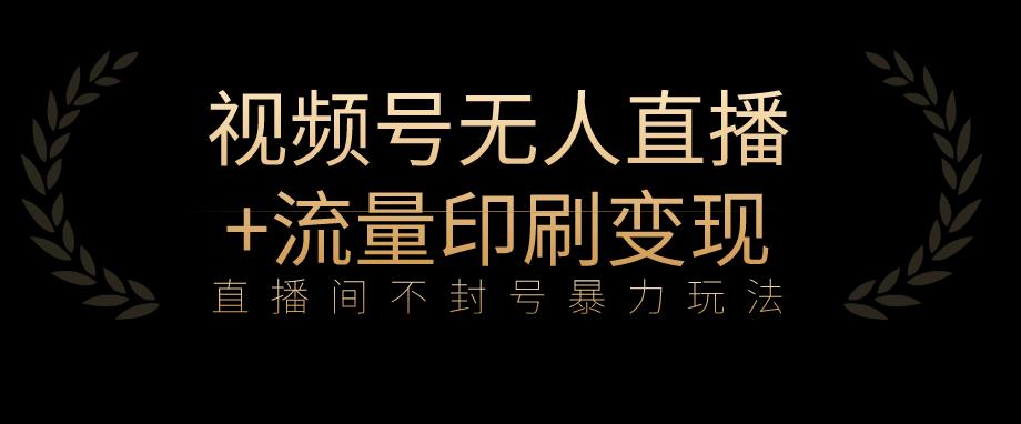 全网首发视频号不封号无人直播暴利玩法+流量印刷机变现，日入1000+【揭秘】-云网创资源站