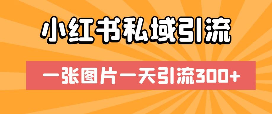 小红书私域引流，一张图片一天引流300+【揭秘】-云网创资源站