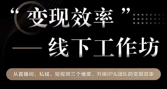 变现效率线下工作坊，从‮播直‬间、私域、‮视短‬频‮个三‬维度，升级IP和团队变现效率-云网创资源站