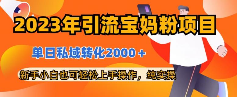 2023年引流宝妈粉项目，单日私域转化2000＋，新手小白也可轻松上手操作，纯实操-云网创资源站