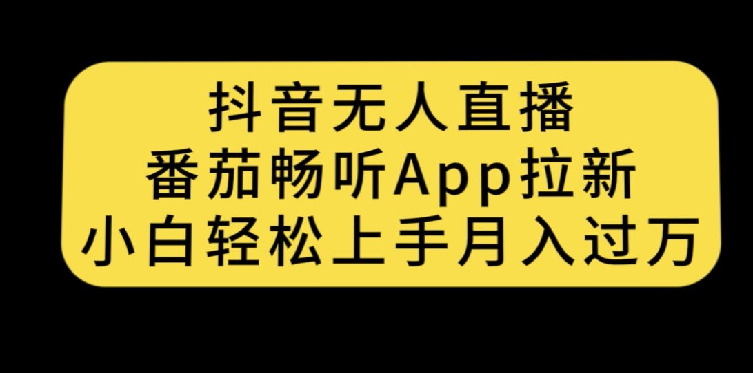 抖音无人直播，番茄畅听APP拉新，小白轻松上手月入过万-云网创资源站