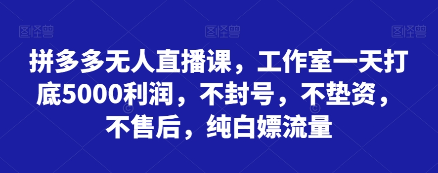 拼多多无人直播课，工作室一天打底5000利润，不封号，不垫资，不售后，纯白嫖流量-云网创资源站