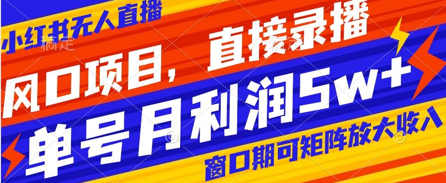 风口项目，小红书无人直播带货，直接录播，可矩阵，月入5w+【揭秘】-云网创资源站