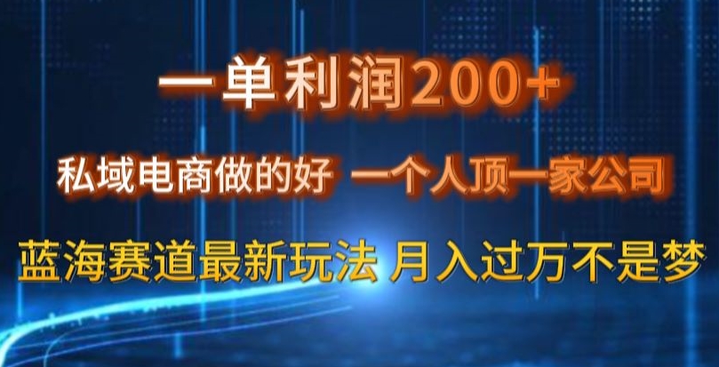 一单利润200私域电商做的好，一个人顶一家公司蓝海赛道最新玩法【揭秘】-云网创资源站