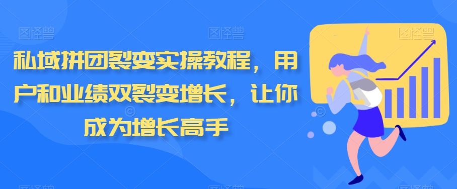 私域拼团裂变实操教程，用户和业绩双裂变增长，让你成为增长高手-云网创资源站