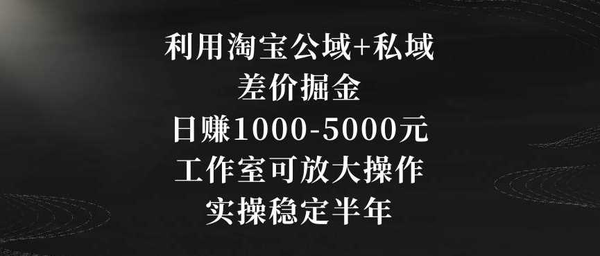 利用淘宝公域+私域差价掘金，日赚1000-5000元，工作室可放大操作，实操稳定半年【揭秘】-云网创资源站