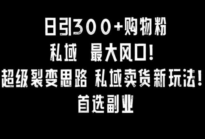 日引300+购物粉，超级裂变思路，私域卖货新玩法，小红书首选副业【揭秘】-云网创资源站